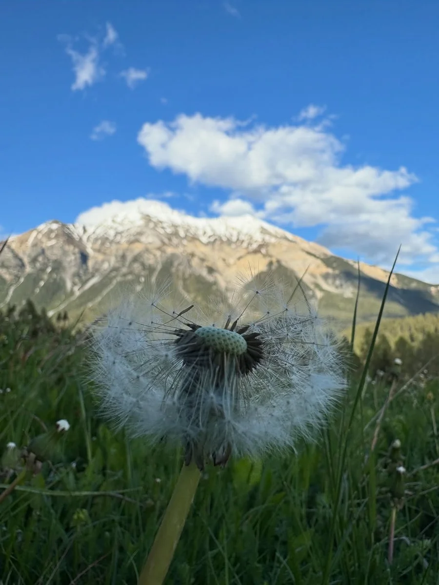 Kreativit\u00e4t ausleben. Natur f\u00fchlen. Inspiration f…