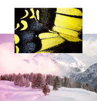 files/63/guarda-val-sana-pink-mountain-composition.png