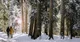files/94/winterwanderungen.jpg